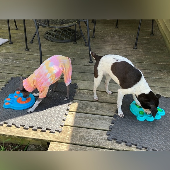 PUZZLE TOY *PAW SHAPE *DOG *CAT *IQ GAME *PUZZLE *HOST PICK *NWT - Picture 13 of 17